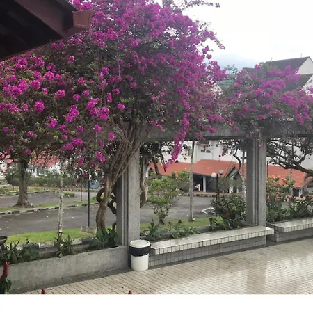 ThatNicePlace at Selesa Hillhomes, Bukit Tinggi, Genting Bentong Luaran gambar